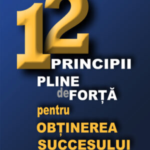 12 Principii pline de forta pentru obtinerea succesului