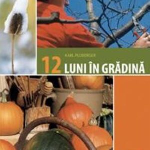 12 luni in gradina