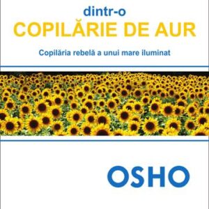 Amintiri dintr-o copilarie de aur