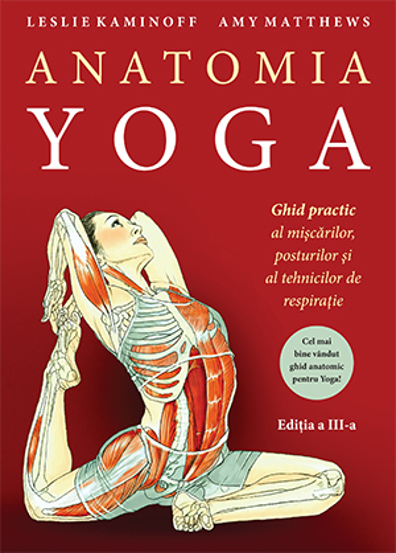 Anatomia Yoga