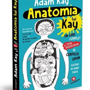 Anatomia lui Kay