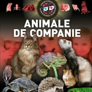 Animale de companie 3D