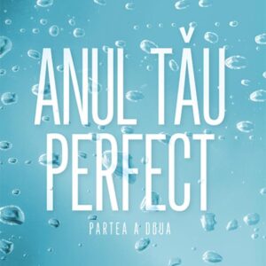 Anul tau perfect - partea a doua