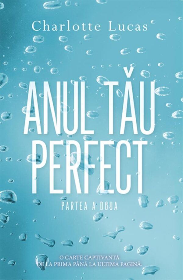 Anul tau perfect - partea a doua