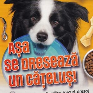 Asa se dreseaza un catelus!