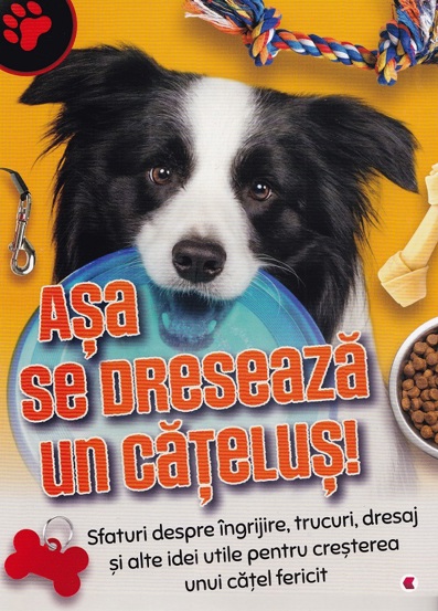 Asa se dreseaza un catelus!