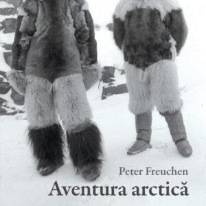 Aventura arctica