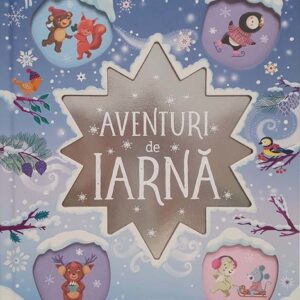 Aventuri de iarna