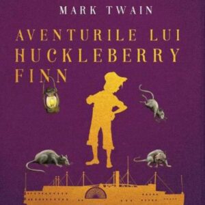 Aventurile lui Huckleberry Finn