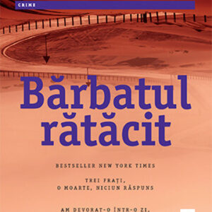 Barbatul ratacit