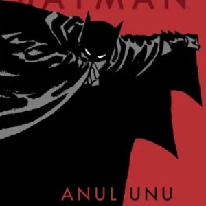 Batman. Anul unu