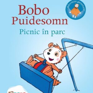 Bobo Puidesomn. Picnic in parc: Povești ilustrate pentru puișori isteți