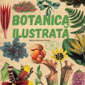 Botanica ilustrata