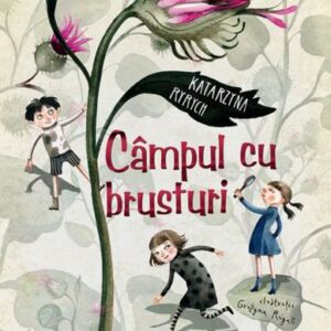 Campul cu brusturi