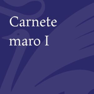 Carnete maro Vol. 1