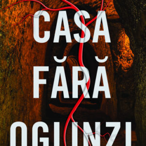 Casa fara oglinzi