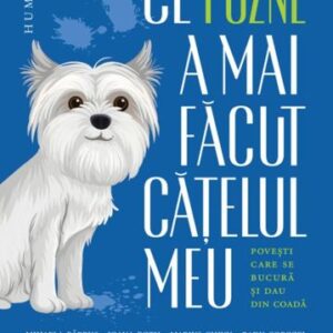 Ce pozne-a mai facut catelul meu