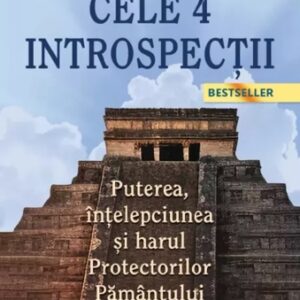 Cele 4 Introspecții