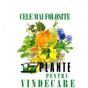 Cele mai folosite 17 plante pentru vindecare