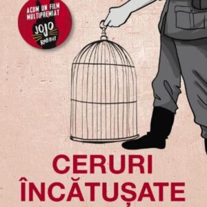 Ceruri incatusate