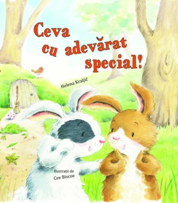 Ceva cu adevărat special