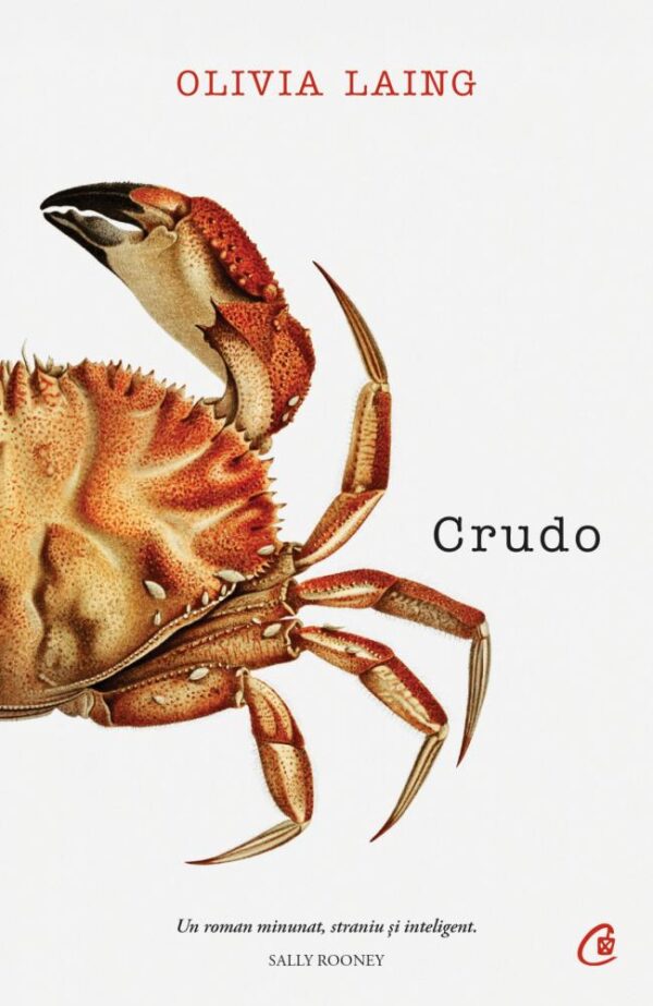 Crudo