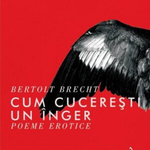 Cum cucerești un înger. Poeme erotice