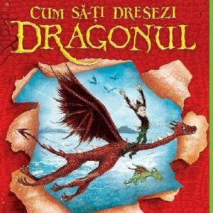 Cum sa-ti dresezi dragonul