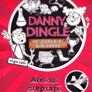 Danny dingle. Avionul dreptatii