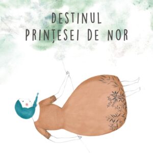 Destinul Printesei de Nor