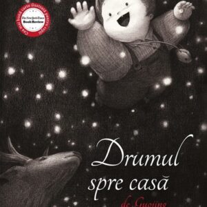 Drumul spre casă