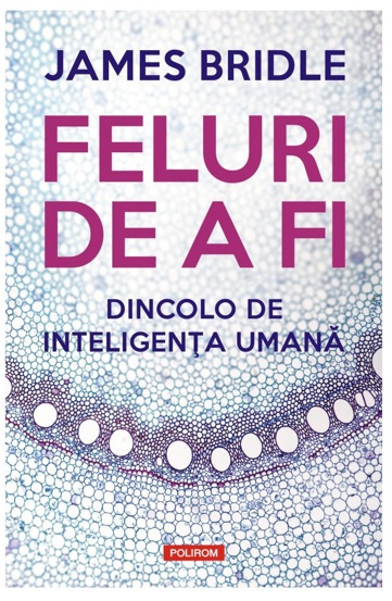 Feluri de a fi