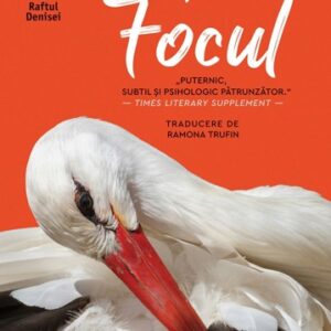 Focul