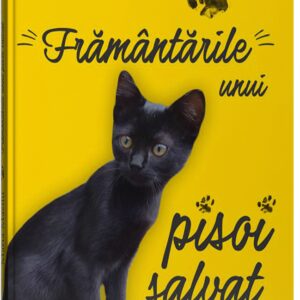 Framantarile unui pisoi salvat