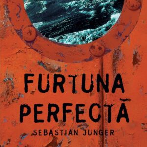 Furtuna perfecta