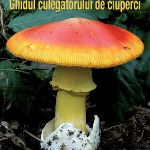 Ghidul culegatorului de ciuperci - 555 de specii