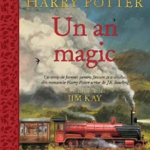 Harry Potter: Un an magic