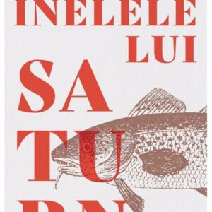 Inelele lui Saturn