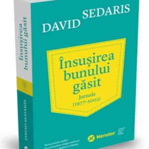 Insusirea bunului gasit