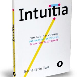 Intuitia