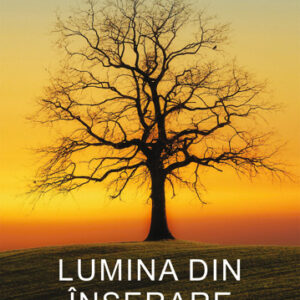 Lumina din inserare