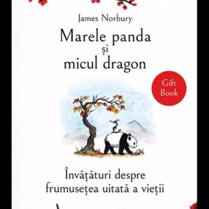 Marele panda si micul dragon