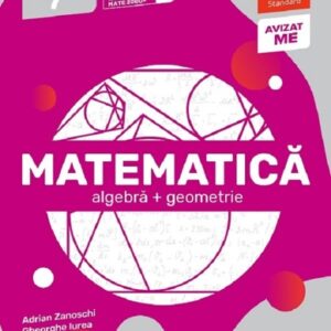 Matematica - Clasa 7 - Standard