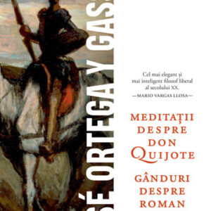 Meditații despre Don Quijote