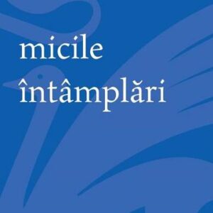 Micile intamplari