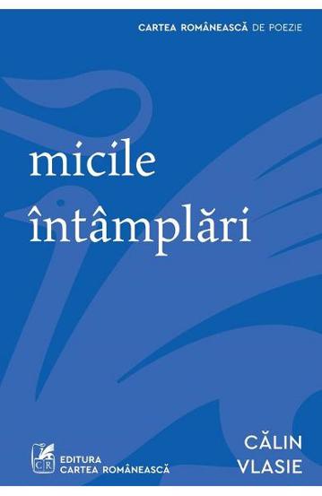 Micile intamplari