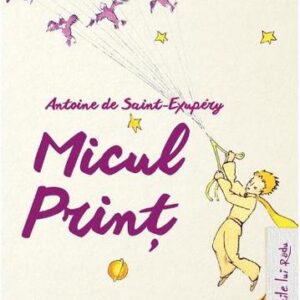 Micul print