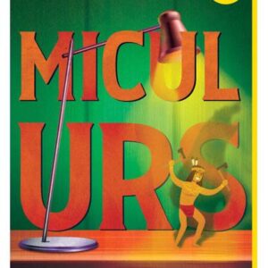 Micul urs