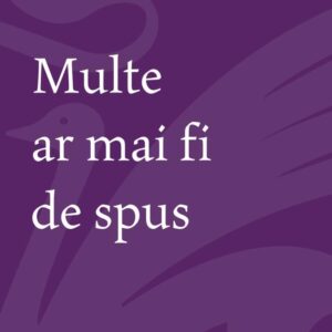 Multe ar mai fi de spus