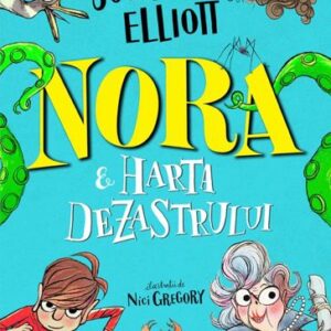 Nora și harta dezastrului